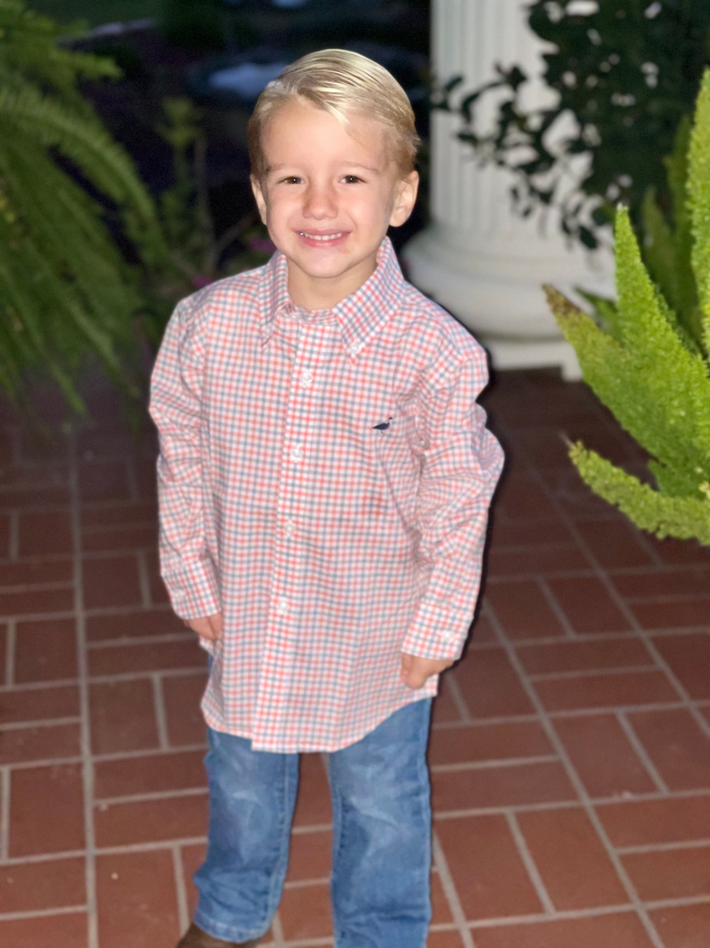 Properly Tied Boys LS Button Up