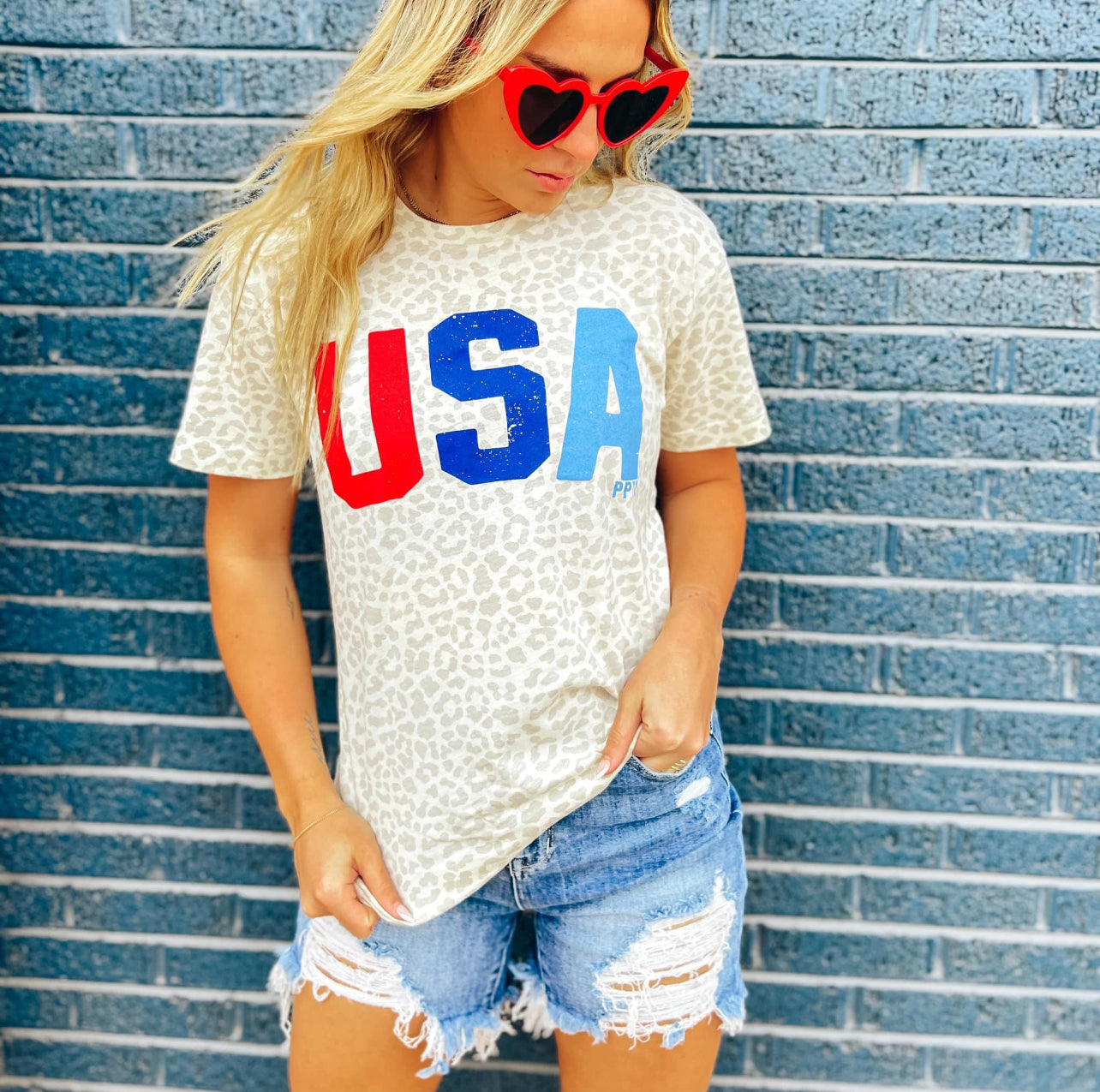 USA T-Shirt