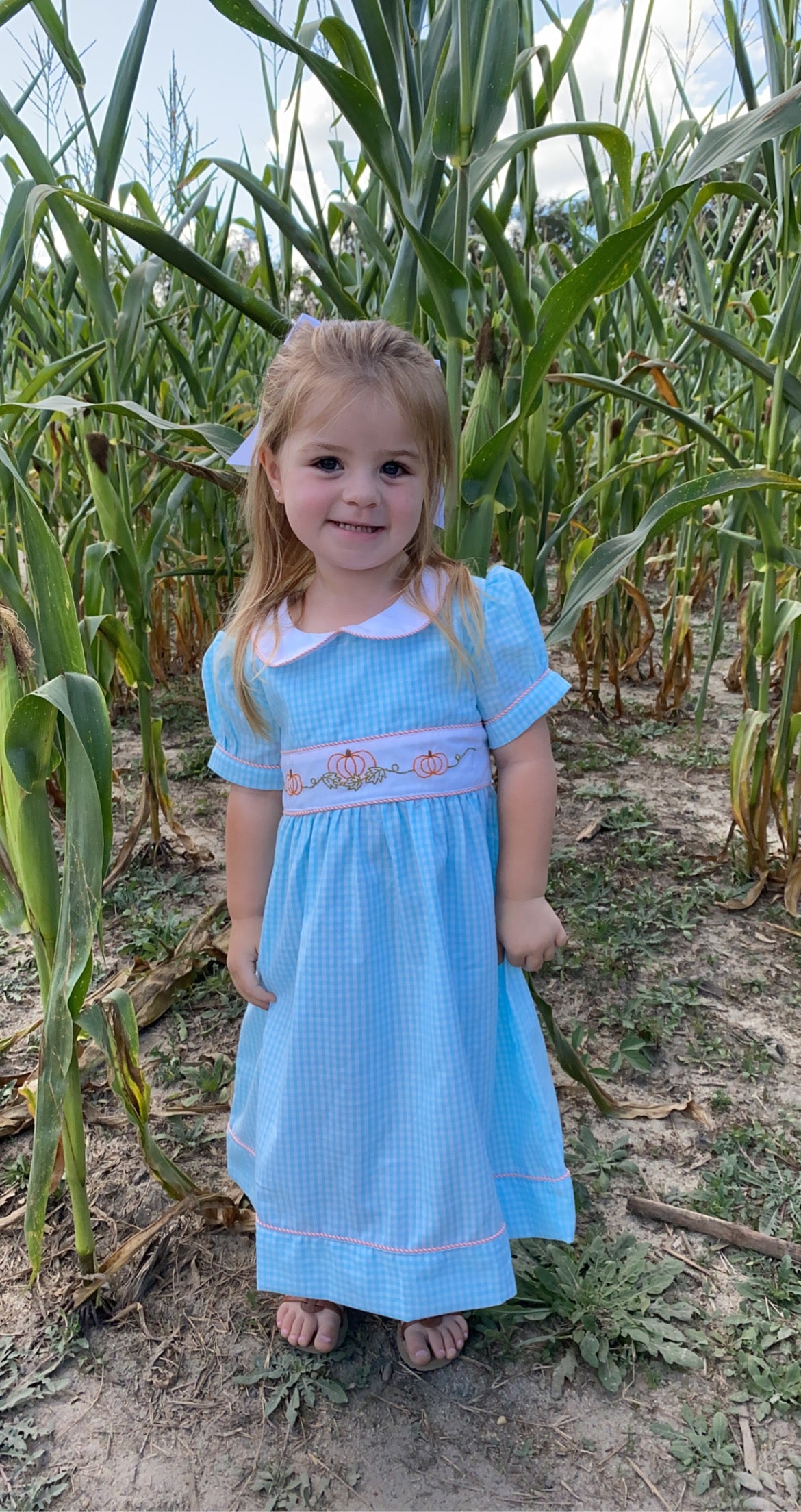 The Perfect Pumpkin Dress